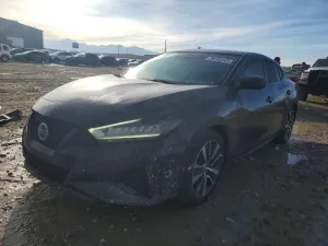 2019 NISSAN MAXIMA