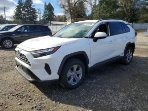 2024 TOYOTA RAV4 HYBRID