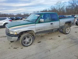 1996 DODGE All Models