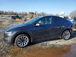 2026 TESLA MODEL Y