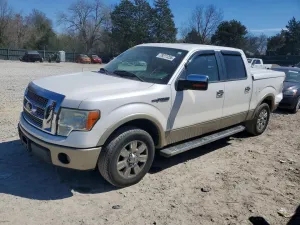 2010 FORD F150