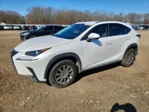 2019 LEXUS NX