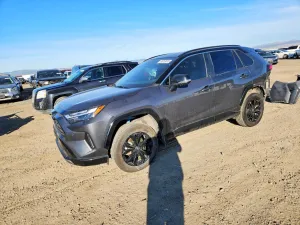 2024 TOYOTA RAV4 HYBRID