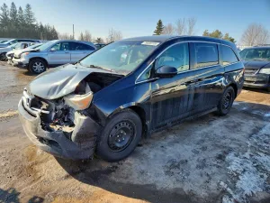 2016 HONDA All Models