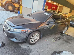 2010 HONDA ACCORD