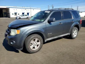 2009 FORD ESCAPE