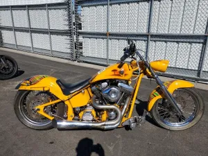 2002 SPCN CHOPPER