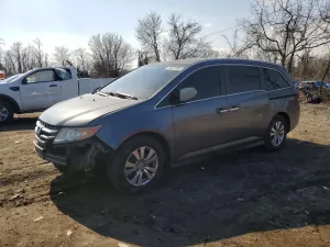 2014 HONDA All Models