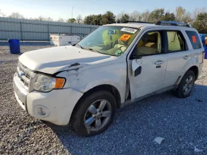 2009 FORD ESCAPE