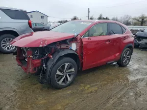 2019 LEXUS NX