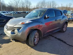 2011 NISS JUKE