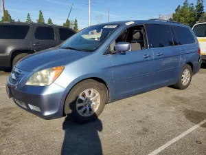 2009 HONDA All Models