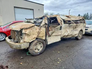 2008 CHEVROLET EXPRESS