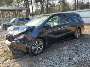 2022 HONDA All Models