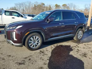2024 HYUNDAI PALISADE