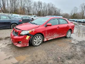 2010 TOYOTA COROLLA