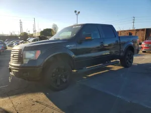 2010 FORD F150