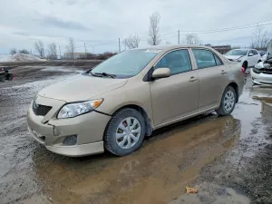 2010 TOYOTA COROLLA