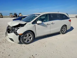 2019 HONDA All Models