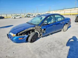 2001 SNOWEX SL/SL1/SL2