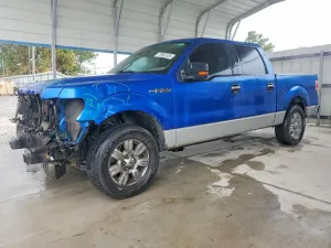 2010 FORD All Models