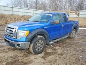 2009 FORD F150