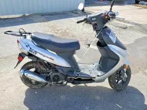 2010 BASHAN ALL MODELS