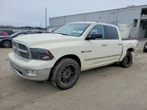 2010 DODGE All Models