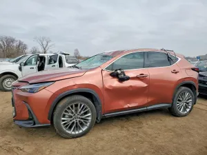 2025 LEXUS NX