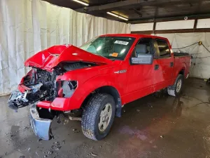 2014 FORD All Models