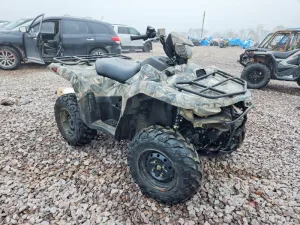 2019 SUZUKI KING QUAD