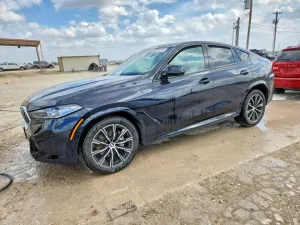 2026 BMW X6