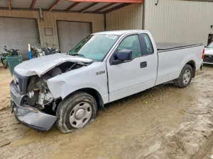 2006 FORD All Models