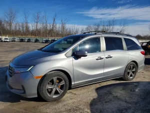 2021 HONDA ODYSSEY