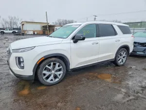 2020 HYUNDAI PALISADE