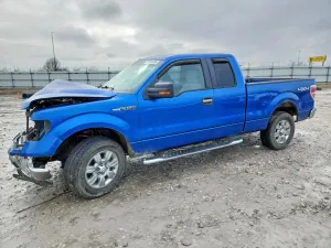 2010 FORD F-150