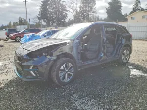 2020 KIA NIRO EV