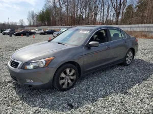 2010 HONDA ACCORD