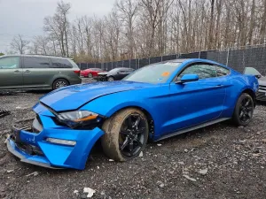 2019 FORD ALL Models