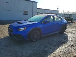 2023 SUBARU WRX