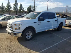 2017 FORD F-150