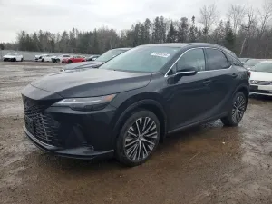 2024 LEXUS RX350