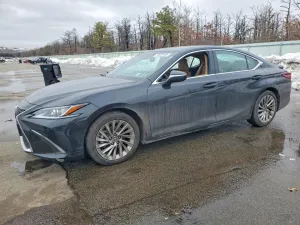 2023 LEXUS ES300