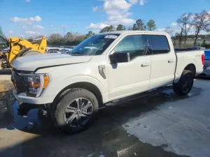 2023 FORD All Models