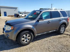 2010 FORD ESCAPE