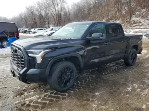 2024 TOYOTA TUNDRA