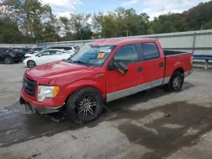 2009 FORD F-150