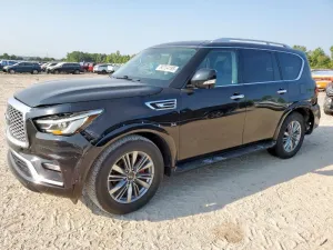 2019 INFINITI QX80