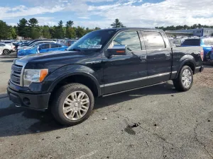 2009 FORD F-150