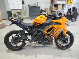 2025 KAWASAKI EX650 P